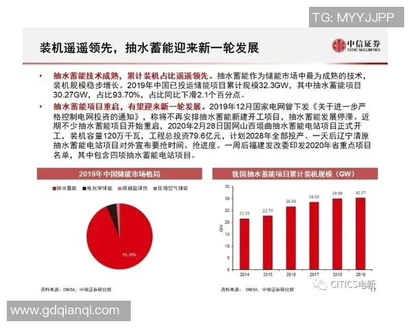 重庆网球队的节奏解析与网球热点动态的深度剖析 重庆网球队的节奏解析与网球热点动态的深度剖析