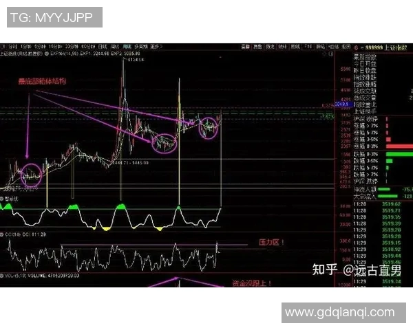 武汉篮球队技术分析与战术探讨聚焦球队发展与未来展望